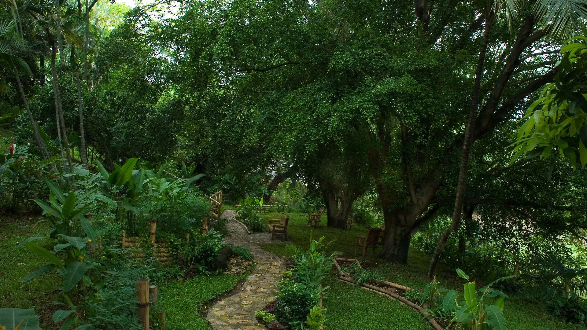 A stone path winding through the shaded tropical gardens of Hotel Tocarema